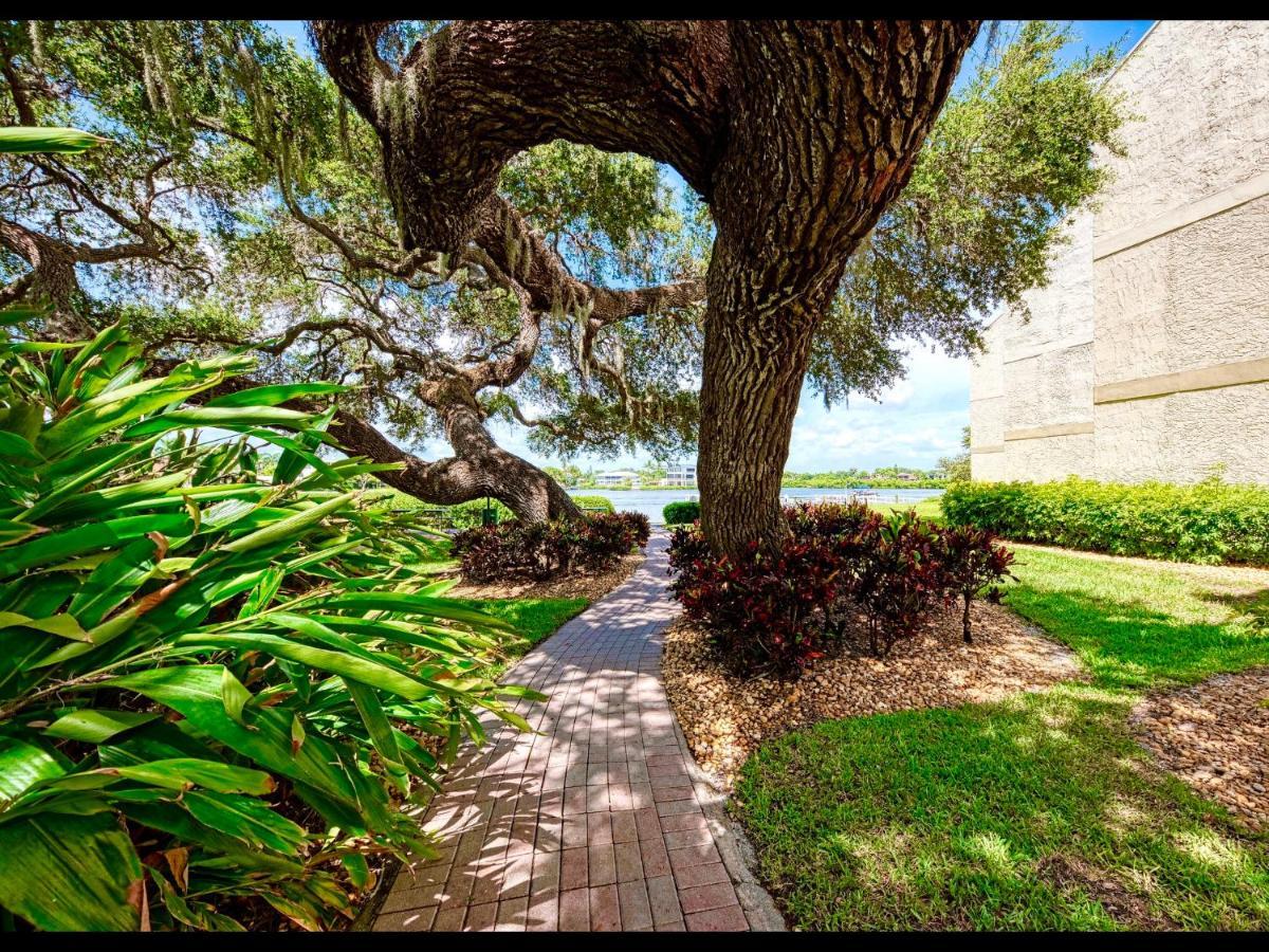 Luxury Waterfront Views - Heated Pool - 1400Sf Duplex - Minutes To The Beach シエスタ・キー エクステリア 写真
